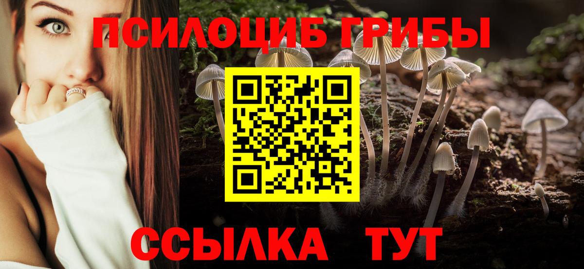 купить наркотики цена  Вход с VPN  Комсомольск-на-Амуре  Псилоцибиновые грибы Psilocybine cubensis 