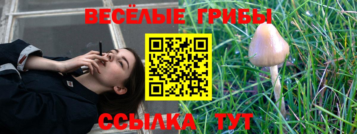 Галлюциногенные грибы мицелий Комсомольск-на-Амуре